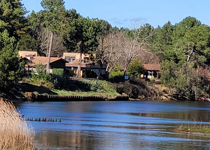 Tatil Evi Maison 3* A Plage, Proche Courant, 6 Pers, 800m Des Plages, Parkings, Wifi, Menage Inclus - Fr-1-50-82 Mimizan-Plage